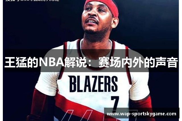王猛的NBA解说：赛场内外的声音