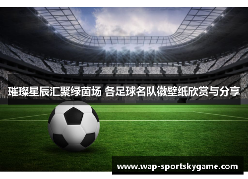 璀璨星辰汇聚绿茵场 各足球名队徽壁纸欣赏与分享